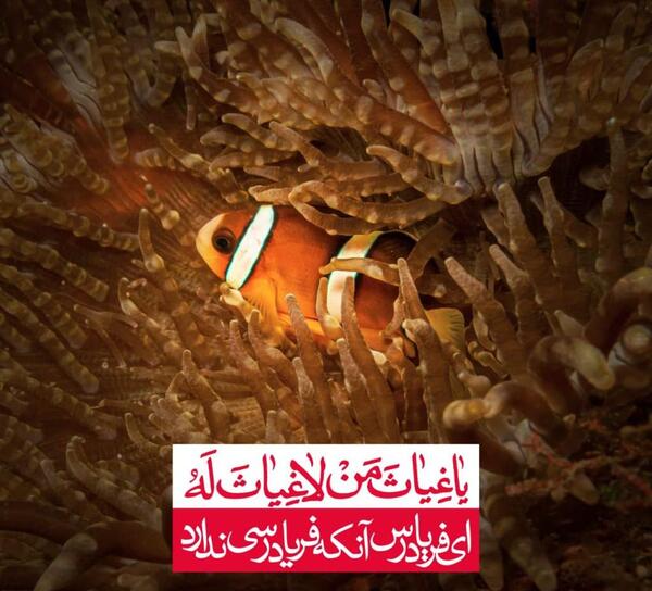 عکس نوشته یا عماد من لا عماد له