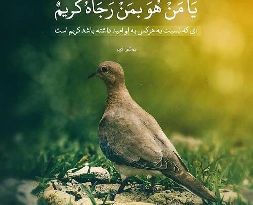 عکس نوشته یا عماد من لا عماد له