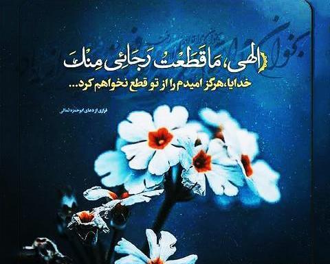 عکس نوشته یا عماد من لا عماد له