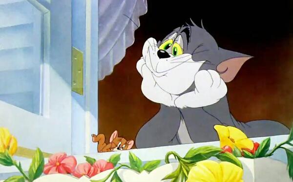 عکس تام عاشق
