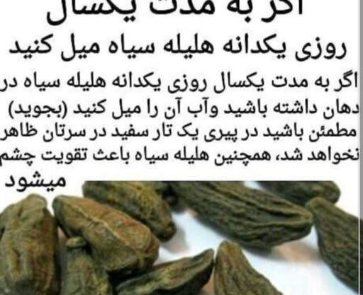 عکس دانه هلیله سیاه