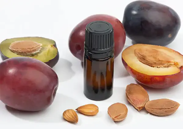 عکس دانه هلیله سیاه
