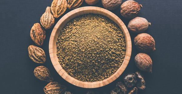عکس دانه هلیله سیاه