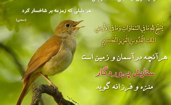 عکس نوشته حسین و فرزانه