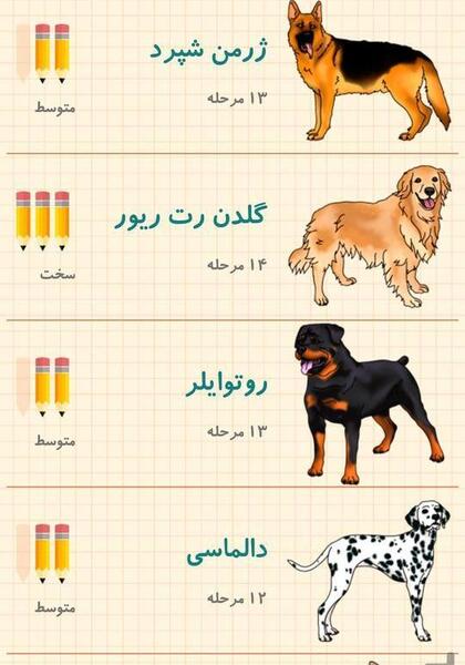 عکس سگ ژرمن نقاشی