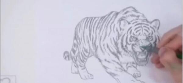 عکس سگ ژرمن نقاشی