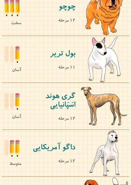 عکس سگ ژرمن نقاشی