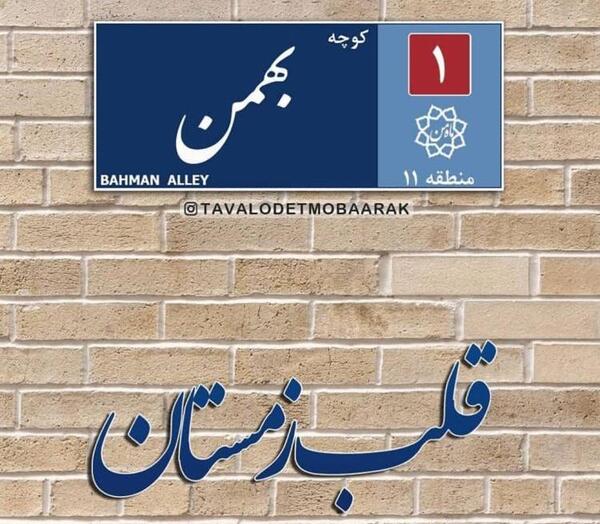 عکس پروفایل همسر بهمنی