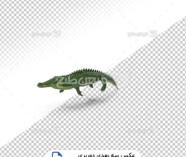 عکس تمساح سبز