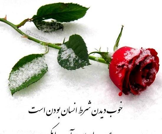 عکس نوشته بخاطر دیگران