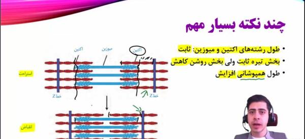 عکس اسکلت و ماهیچه