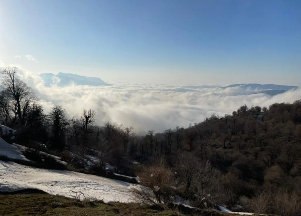 عکس تارزان جنگل