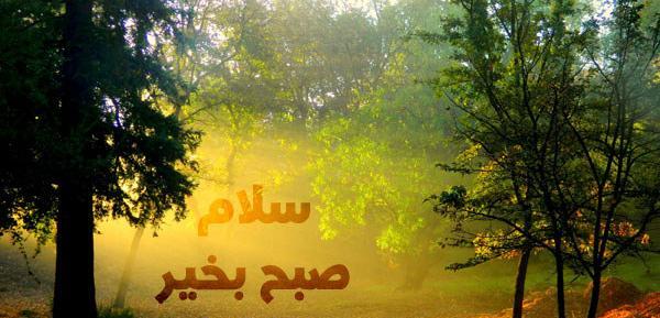 عکس تصاویر زیبا از طبیعت چین
