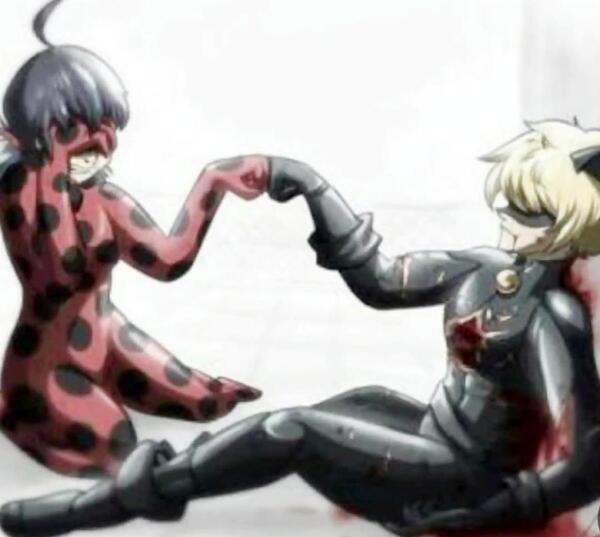 عکس چت لیدی باگ و کت نوار