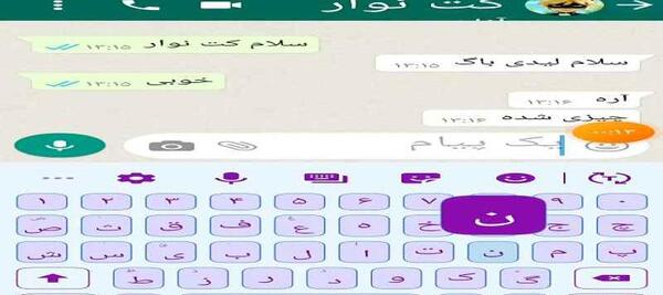 عکس چت لیدی باگ و کت نوار