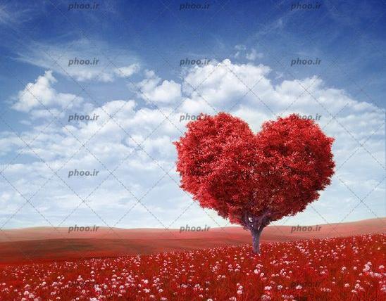 عکس قلب با برگ پاییزی