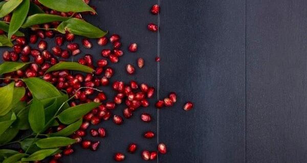 عکس دورهمی یلدایی