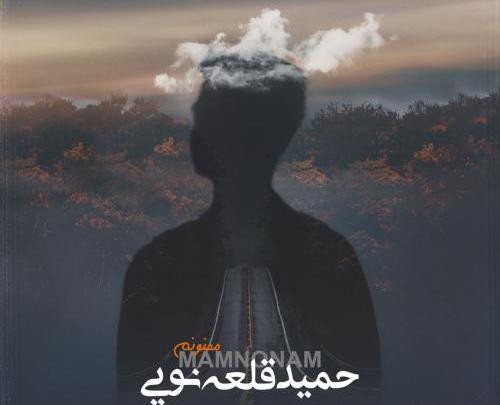 عکس حمید قلعه