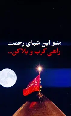 عکس در ضریح امام حسین