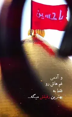 عکس در ضریح امام حسین