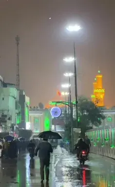 عکس در ضریح امام حسین