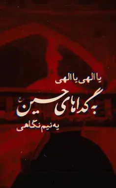 عکس در ضریح امام حسین