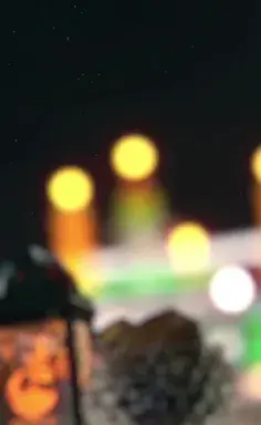عکس در ضریح امام حسین