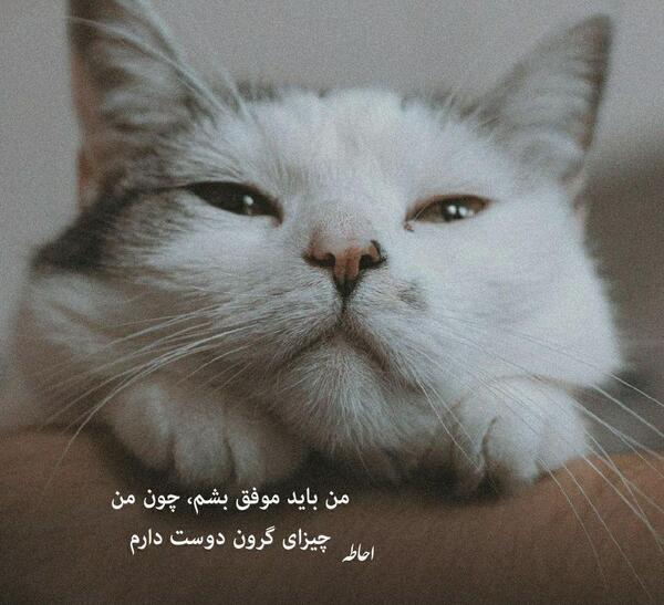 عکس نوشته من باید موفق بشم
