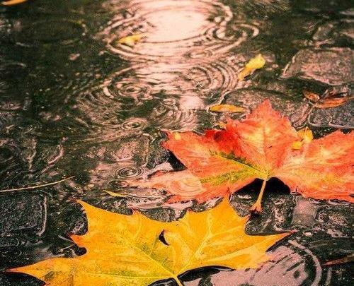 عکس پروفایل پاییزی پسرانه