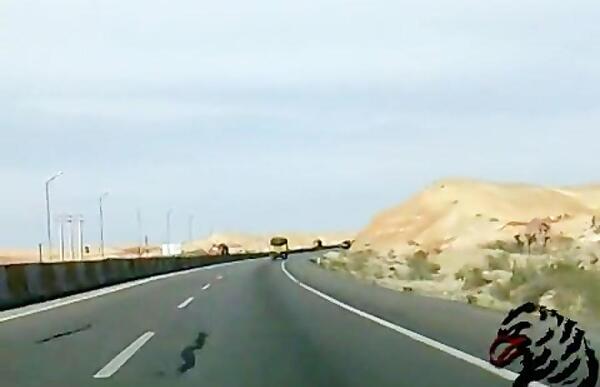 عکس جاده از داخل اتوبوس