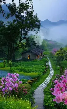 عکس میراکلس واقعی