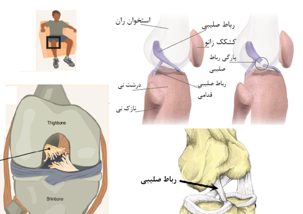 عکس حمید آذر