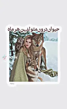 عکس بازی گرگم به هوا