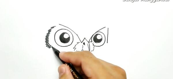 عکس جغد سیاه قلم
