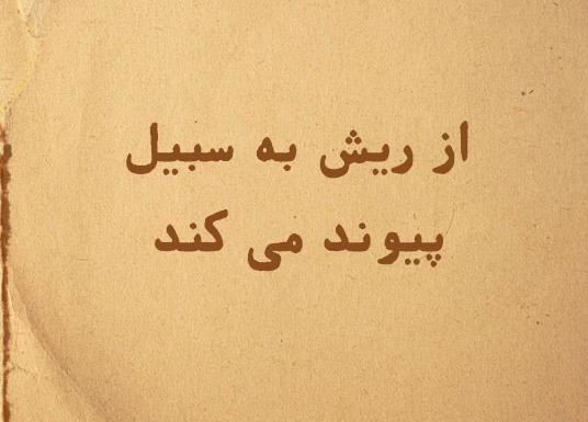 عکس از ریش طلایی