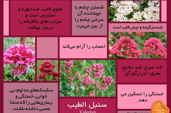 عکس نوشته سمیرا عاشقتم