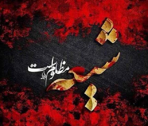 عکس گاو جفت