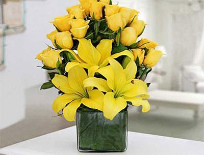 عکس گل نرگس زرد و سفید