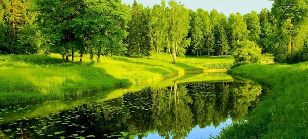 عکس طبیعت زیبا فول اچ دی