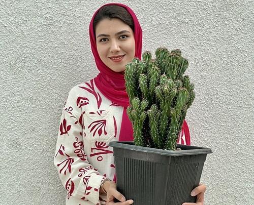عکس انواع کاکتوس صخره ای