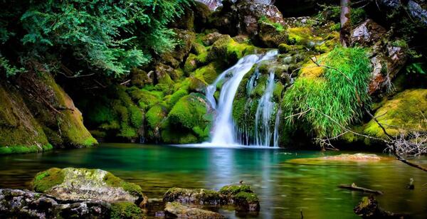 عکس هایی از طبیعت واقعی