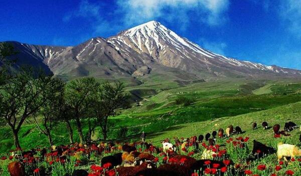 عکس هایی از طبیعت واقعی