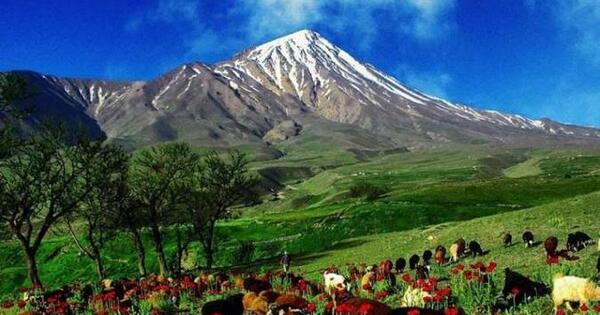 عکس هایی از طبیعت واقعی
