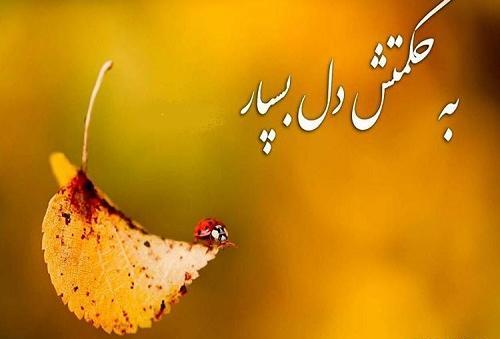 عکس زیبا برای پروفایل با نام خدا