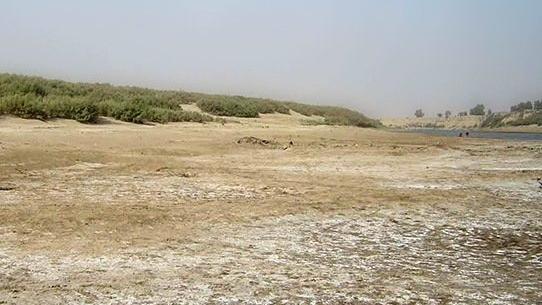 عکس آزاد در طبیعت