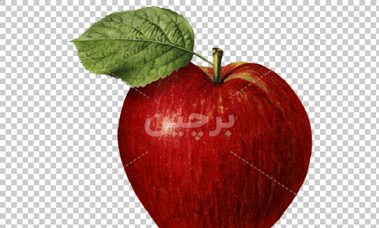 عکس سیب قرمز