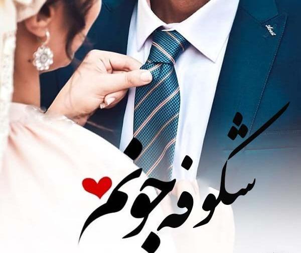 عکس شکوفه بی حجاب