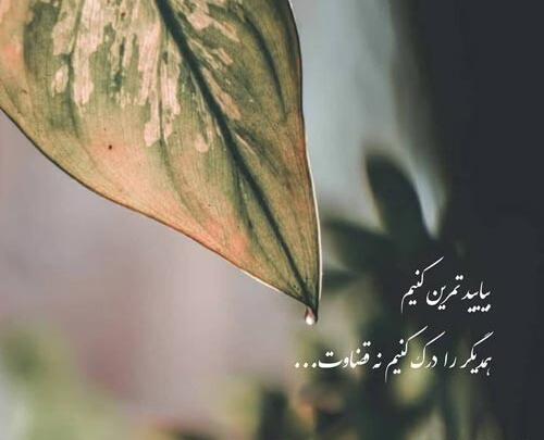 عکس نوشته جدید قضاوت