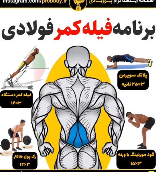 عکس کبودی پشت کمر