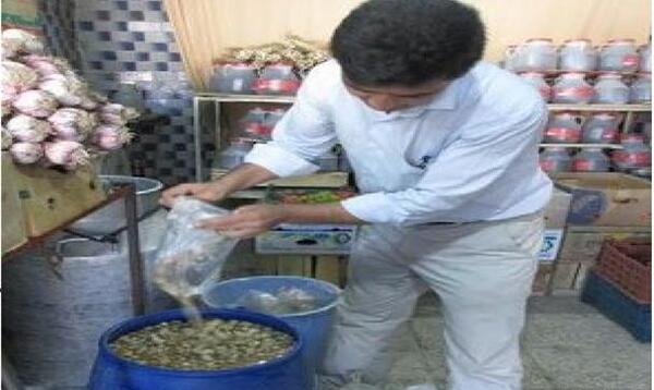 عکس ثعلب